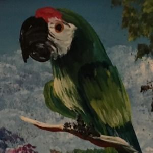 Meet your Posher, MC